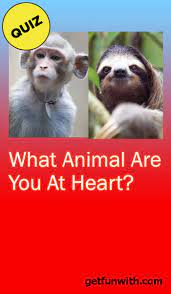 What Animal Are You At Heart What Animal Are You Quizzes For Fun Quizzes Funny