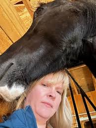 Oh Lego….Life is never dull with you around! #equestrian #horse #lostshoe  #equestrianlife