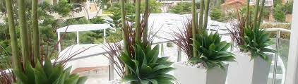 Within australia, interflora is allowing it's florists to substitute the flowers and vases within interflora arrangements until further notice; Indoor Outdoor Artificial Plants Tress Gold Coast Interior Gardens