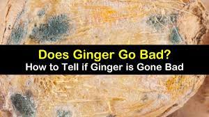 Mold is an obvious one. How To Tell If Ginger Is Gone Bad