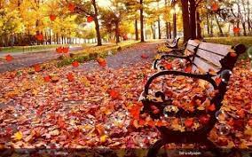 Autumn Live Wallpaper Download From Our Apps Store Androidworldstore Live Wallpapers Free Live Wallpapers Fall Pictures