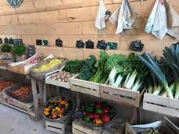 Au Potager Mignon On Prend Soin Des Legumes A Prin Deyrancon