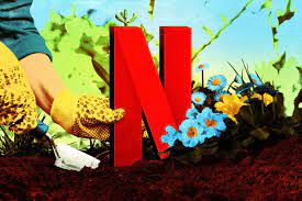 Celebrating new york style & design | open house tv. The Unexpected Pleasures Of Netflix S Gardening Shows The Ringer