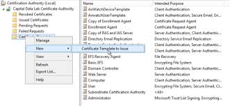 Certificate Template 802 7 Templates Example Templates Example In 2020 Certificate Templates Certificate Authority Professional Templates