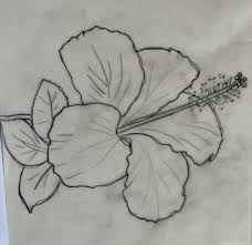 Pin On Colored Pencil Flowers