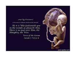 Surah al imran (the family of imran) 38. Surah Aali Imran