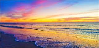 Check spelling or type a new query. Sieben Leichen Werden Am Strand Von Algerien Angespult Schnell Aktuellste Nachrichten