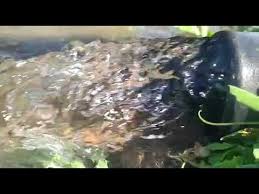 I must say i really like the new cam but it shure did take me quite a. Just Wow It S Awesome Youtube