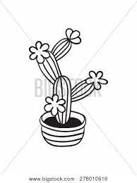Intimate items (for health/hygiene reasons). Cactus Flowers Pot Vector Photo Free Trial Bigstock