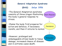 3 General Adaptation Syndrome