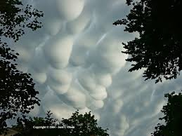 Image result for Mammatus cloud