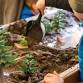 Nature Days at Columbia Springs