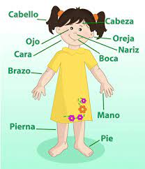 Pin En Educacion