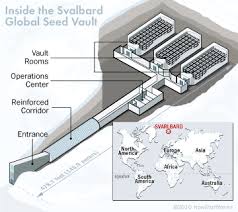 Can Seed Banks Save Threatened Plants Seed Bank Seed Vault Seeds