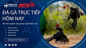 Thế trận an bài (hết giờ) sự kiện: Ä'a Ga Trá»±c Tiáº¿p Thomo Campuchia Hom Nay 18 06 2021