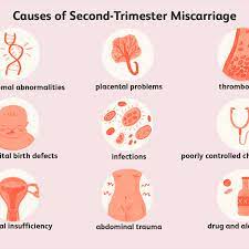 Reasons For Miscarriage In The Second Trimester