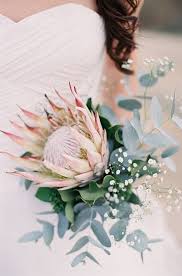 2021 Trending 25 Amazing Proteas Wedding Bouquets Oh Best Day Ever Protea Wedding Protea Bouquet Babys Breath Bouquet Wedding