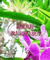 周末愉快祝福語圖片，早安送你暖心問候- 壹讀
