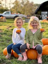 Lathcoats Farm Pumpkin Patch