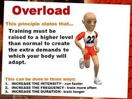 Exercise Principles Printable Display Signs Physical Fitness Exercise Health And Physical Education