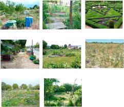 How successful is community gardens? Creative Natures Community Gardening Social Class And City Development In Vienna Sciencedirect
