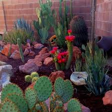 I put that verb in the past simple (which is just about acceptable) to avoid introducing a new tense and creating confusion. 20 Stunning Front Yard Flower Garden Design Ideas Outdoor Cactus Garden Cactus Garden Cactus Garden Design
