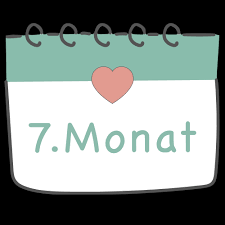 Schwangerschaftswochen 25 Bis 28 Ssw Der Siebte Monat
