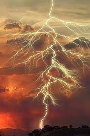 Nerves In Nature Exploration In Photography 1 Beautiful Nature Nature Nature Photography