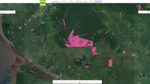 English español français русский český norsk svenska hrvatski suomi dansk deutsch italiano nederlands. Revealed Paper Giant S Ex Staff Say It Used Their Names For Secret Company In Borneo