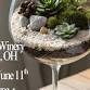 Wine Glass Terrarium & Fairy Garden Workshop