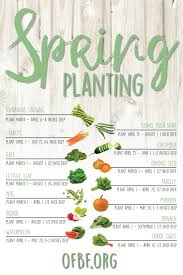 Sow What Helpful Tips On When To Start Planting Seeds In