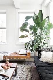 The gold trimmed side table adds a glam touch to the room too. 5 Open Floor Plan Ideas That Will Make You Want To Rearrange The Furniture Plant Decor Indoor Big Plants Indoor Trees