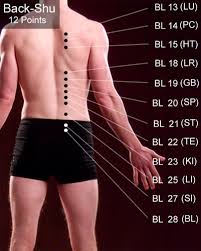 Back Shu Points Acupuncture Acupuncture Benefits Acupressure
