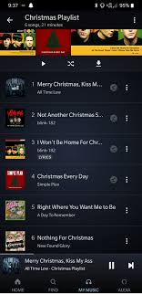 Merry Christmas Everyone The Only Genre Of Xmas Music I Can Stand To Listen To Blink182