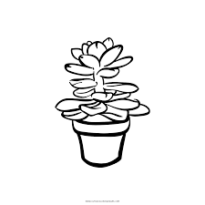 Amazon has its own dedicated coupon page, which is a great resource if you're looking for an amazon promo code. Succulent Coloring Page Ultra Coloring Pages