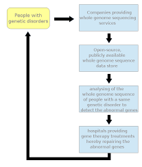 File Personal Genomics Gene Therapy Flowchart Png