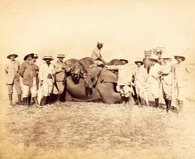 India | Indian hunting expedition of Henry Meysey-Thompson, 1st Baron