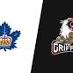 Toronto Marlies at Grand Rapids Griffins event image