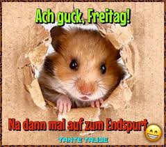 Morgen Gruss Spruch Gruss Morgen Spruch Grusse Zum Freitag Freitag Spruche Guten Morgen Freitag
