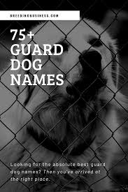 Now of course this lovely new dog needs a name. 75 Guard Dog Names What S Your Favorite Loyal Dog Name