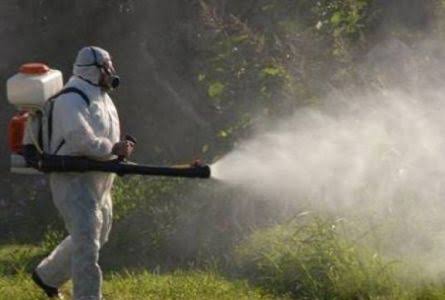 Cotización fumigación profesional