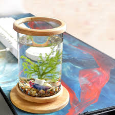 Pin On Fish Bowls