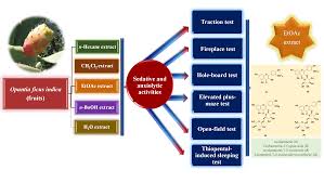 En paris.cl compra online lo mejor en tecnología, electrónica, línea blanca, muebles, moda, zapatos, belleza, deportes, juguetes y mucho más. Molecules Free Full Text Sedative And Anxiolytic Activities Of Opuntia Ficus Indica L Mill An Experimental Assessment In Mice Html