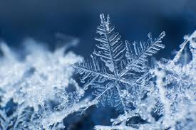 Submitted 11 hours ago by managing snowflake deployments outside the technology (medium.com). The Science And Poetry Of Snowflakes The Well The Well