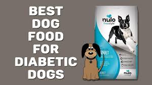 It should be highly digestible, ideally supplemented with fiber and probiotics, but still limited in total carbohydrate content. 10 Best Dog Food For Diabetic Dogs 2021 Petmoo