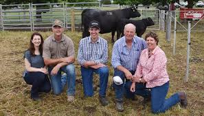 Ardrossan angus &groupestimated breeding values listing, ranked by animal id. Rock Solid Anvil Angus Tops At 52 000 Stock Land Victoria