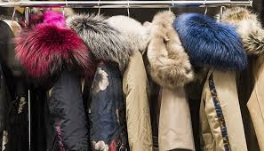 Devenir lanceur d'alerte avec notre appli : Fourrure Comment La Reperer Dans Les Magasins Fondation 30 Millions D Amis