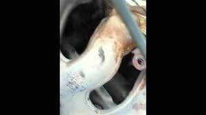 Blue/yellow vehicle battery positive wire location i have a 2004 mitsubishi galant with a 3.8l v6 engine and i believe the starter has gone bad. Starter Replace 99 2003 Mitsubishi Eclipse Galant 2 4l 4cyl Youtube