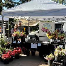 We did not find results for: From Spot On To You Just Don T Understand Columns About Florists Get A Mixed Bouquet Of Responses Home Garden Nola Com