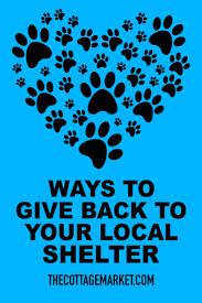 Ways To Giveback To Your Local Shelter The Cottage Market Dog Rescue Shelters Animal Shelter Quotes Local Shelters
